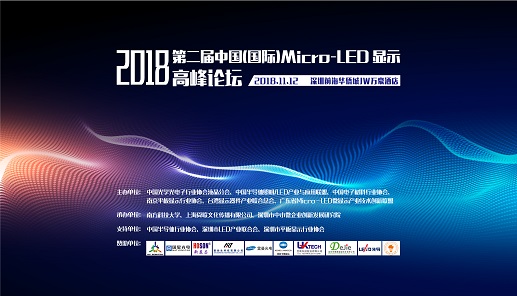 xxx presents a keynote speech in the Micro-LED Display Summit Forum